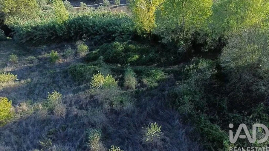Terreno para Venda em Gançaria Foto 6
