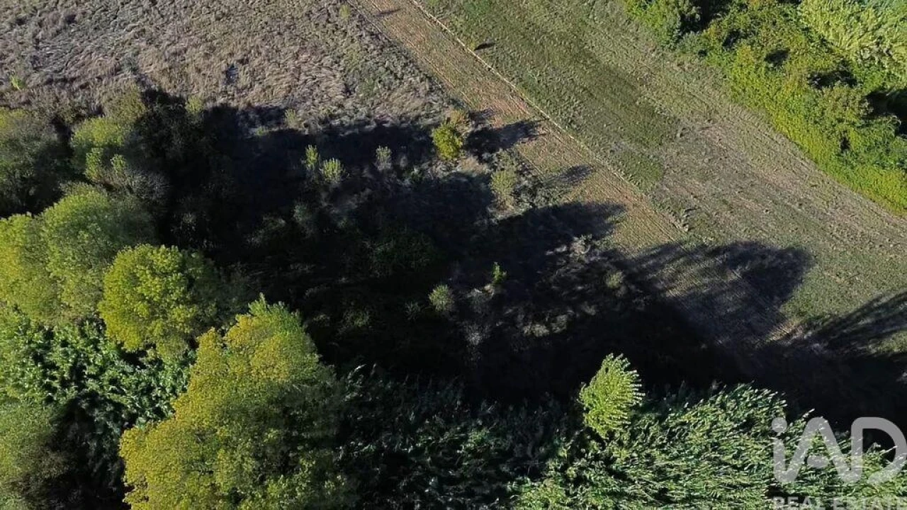 Terreno para Venda em Gançaria Foto 10