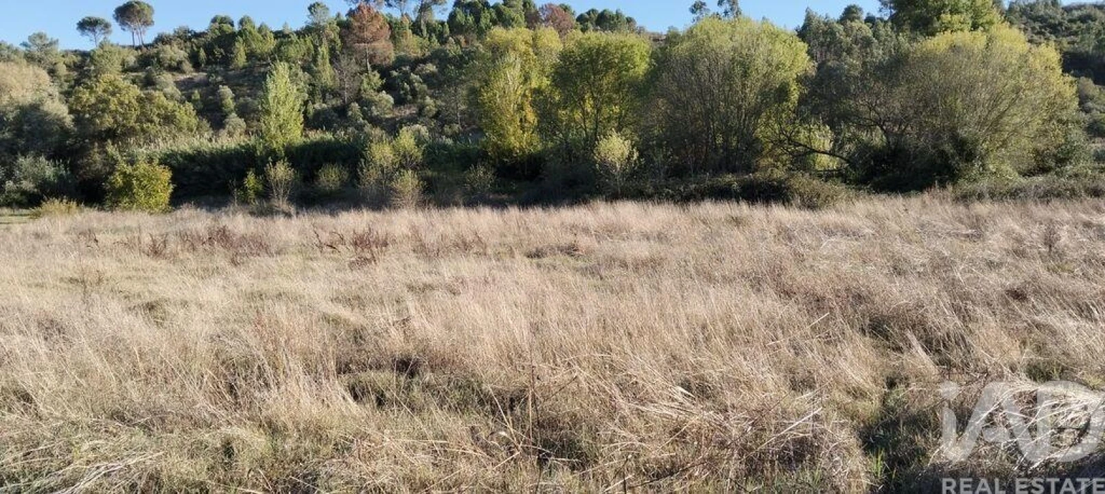 Terreno para Venda em Gançaria Foto 3