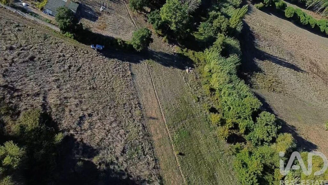 Terreno para Venda em Gançaria Foto 9