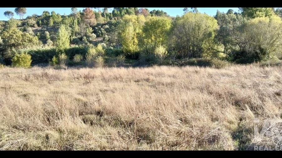 Terreno para Venda em Gançaria