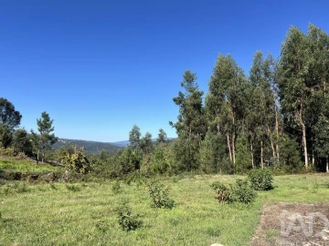 Terreno para Venda em Serrazes