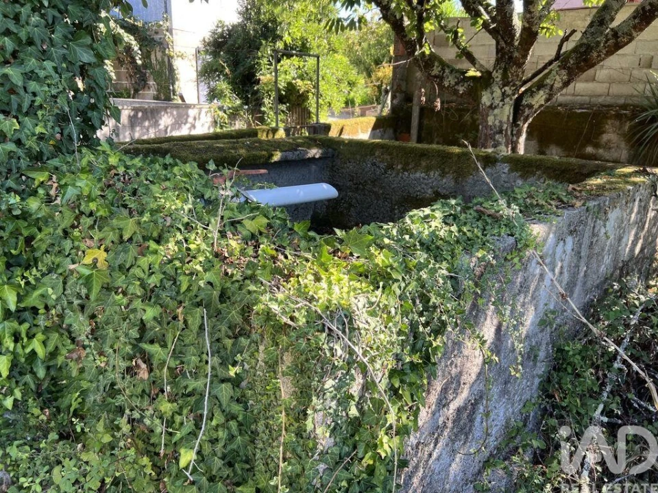 Terreno para Venda em Serrazes Foto 7