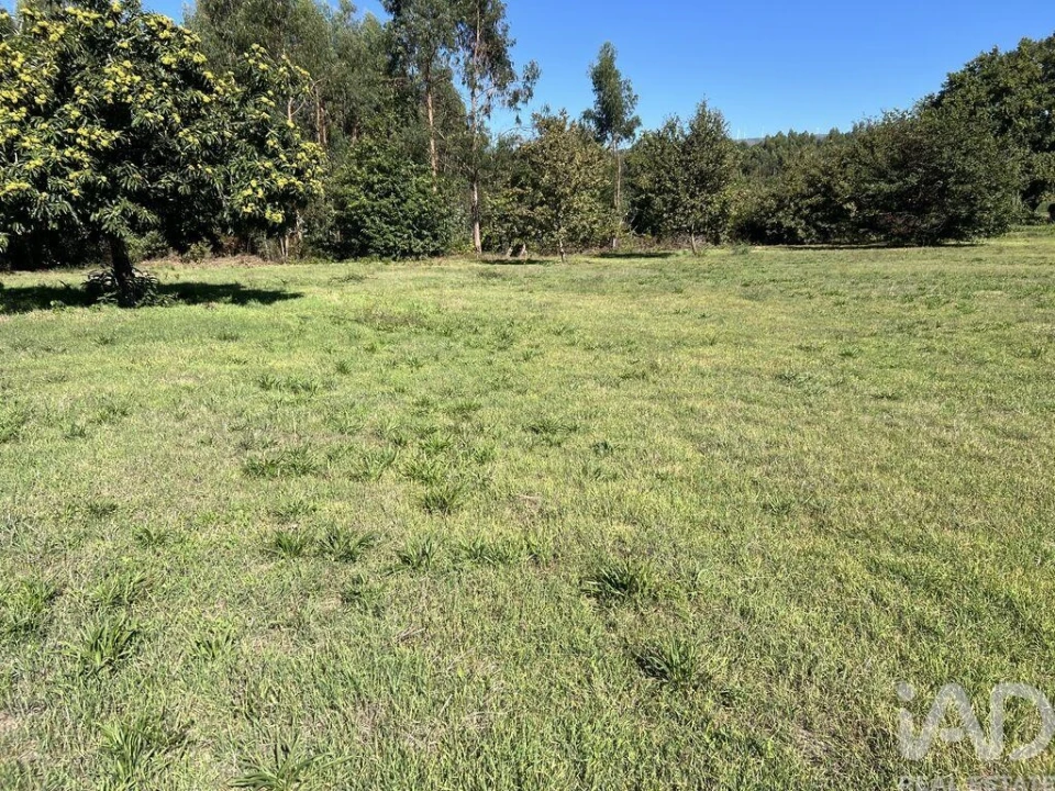 Terreno para Venda em Serrazes Foto 3