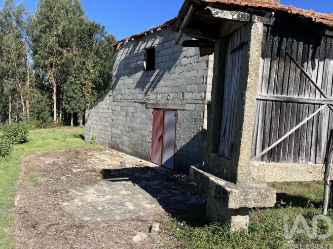 Terreno para Venda em Serrazes Foto 5