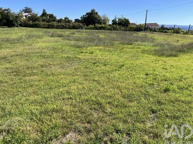 Terreno para Venda em Serrazes Foto 2