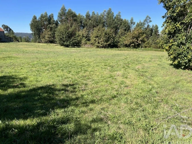 Terreno para Venda em Serrazes Foto 14