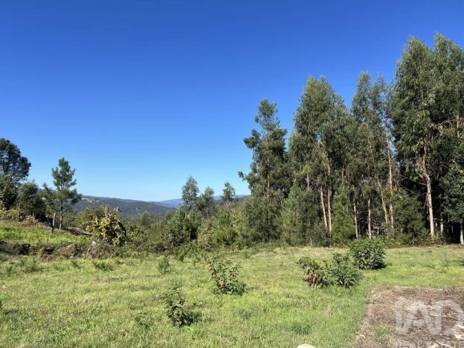 Terreno para Venda em Serrazes Foto 4