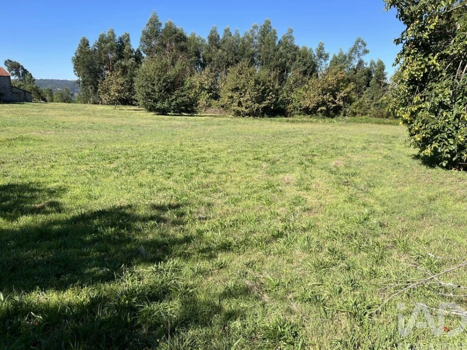 Terreno para Venda em Serrazes Foto 14