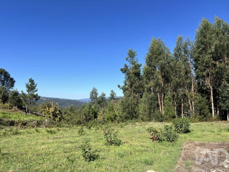 Terreno para Venda em Serrazes Foto 4