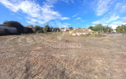 Terreno para Venda em Alvega e Concavada