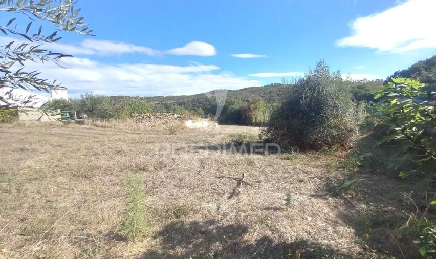 Terreno para Venda em Alvega e Concavada Foto 9