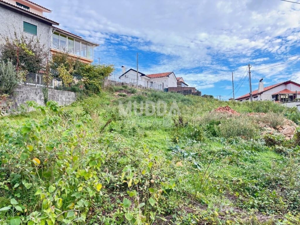 Terreno para Venda em Vila Chã, Codal e Vila Cova de Perrinho Foto 1
