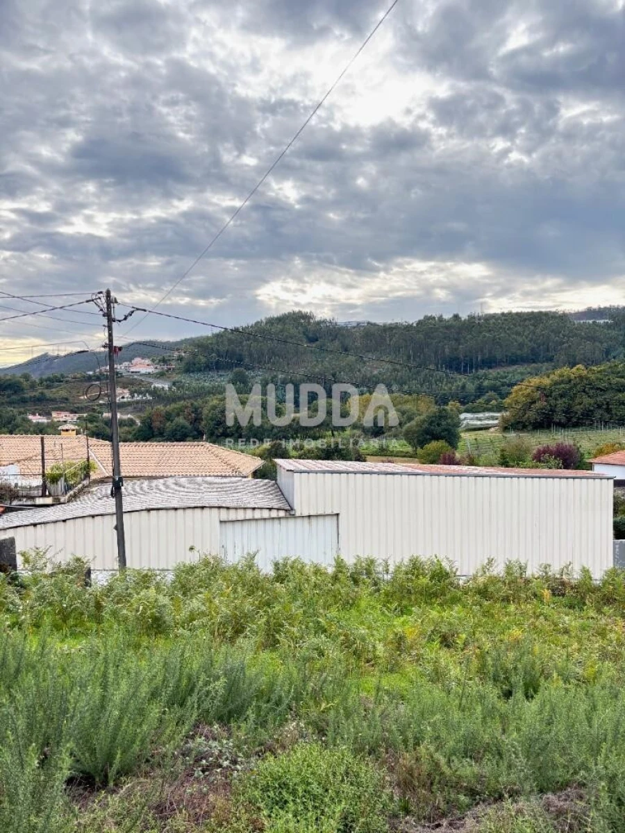 Terreno para Venda em Vila Chã, Codal e Vila Cova de Perrinho Foto 15
