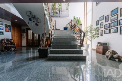 Moradia T4 para Venda em Pessegueiro do Vouga