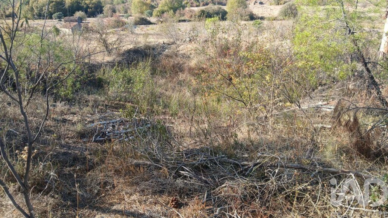 Terreno para Venda em Sarzedas Foto 5