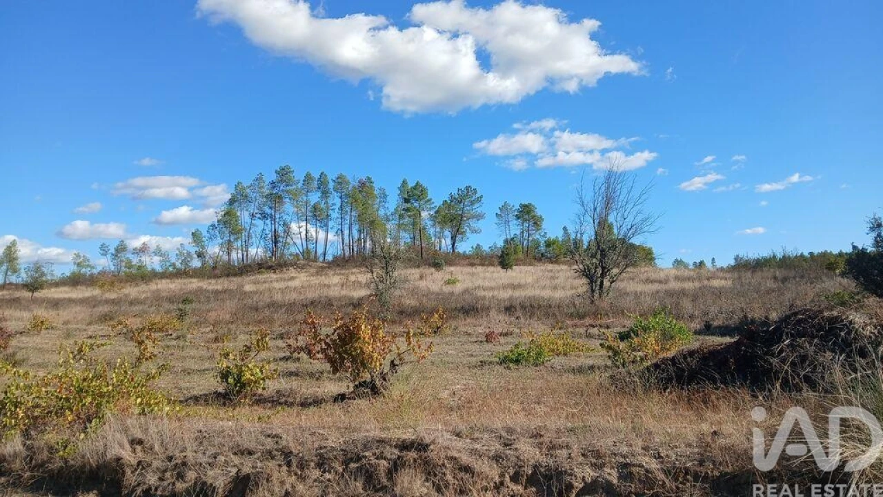 Terreno para Venda em Sarzedas Foto 14