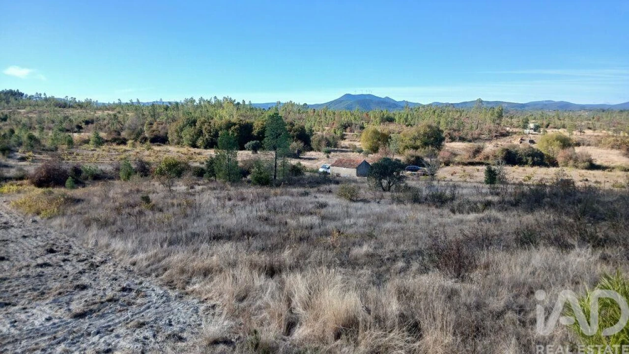 Terreno para Venda em Sarzedas Foto 12