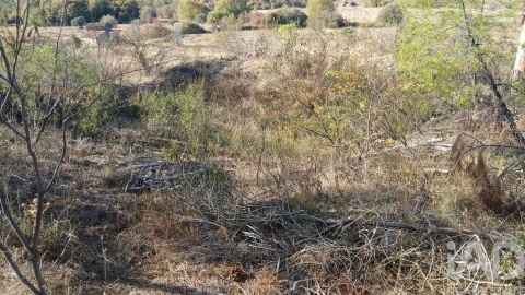 Terreno para Venda em Sarzedas