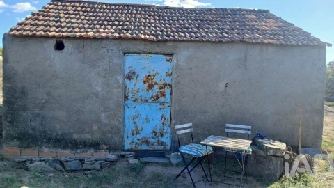 Terreno para Venda em Sarzedas