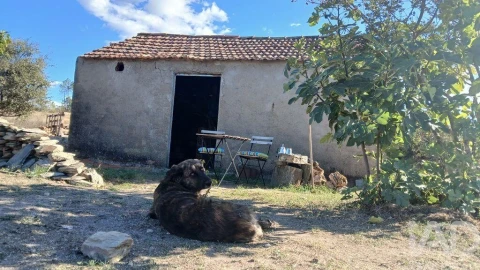 Terreno para Venda em Sarzedas