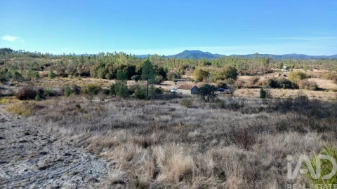 Terreno para Venda em Sarzedas