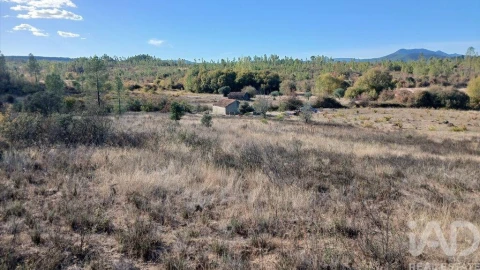 Terreno para Venda em Sarzedas