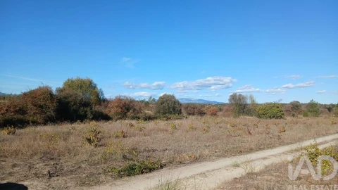 Terreno para Venda em Sarzedas