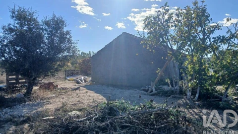 Terreno para Venda em Sarzedas