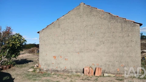 Terreno para Venda em Sarzedas
