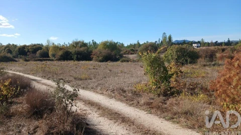 Terreno para Venda em Sarzedas