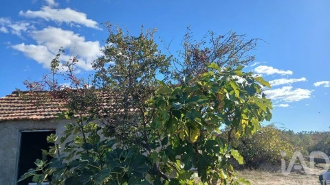 Terreno para Venda em Sarzedas