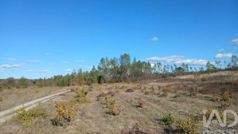 Terreno para Venda em Sarzedas