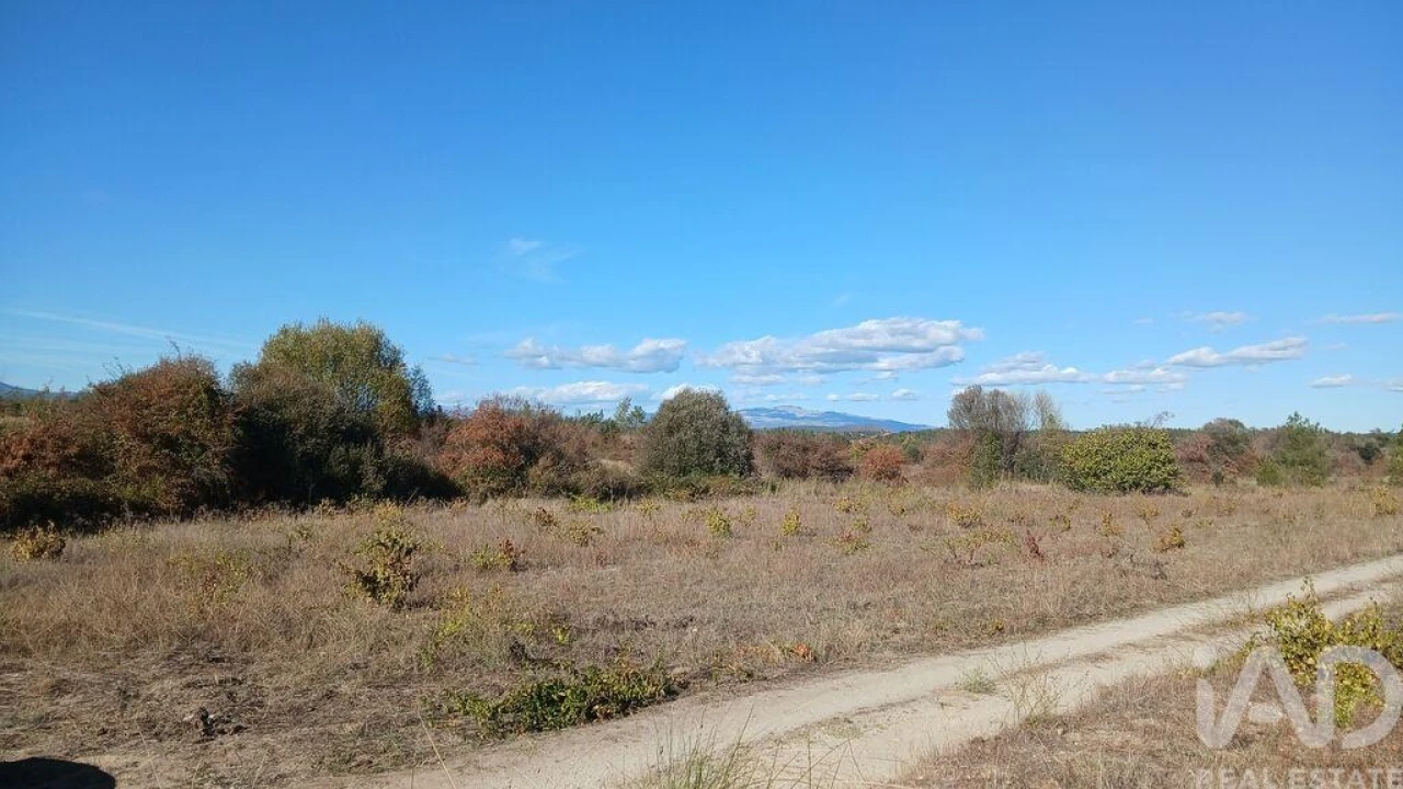 Terreno para Venda em Sarzedas Foto 15