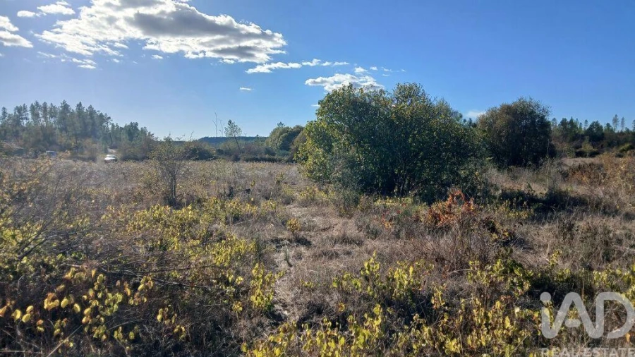 Terreno para Venda em Sarzedas Foto 9