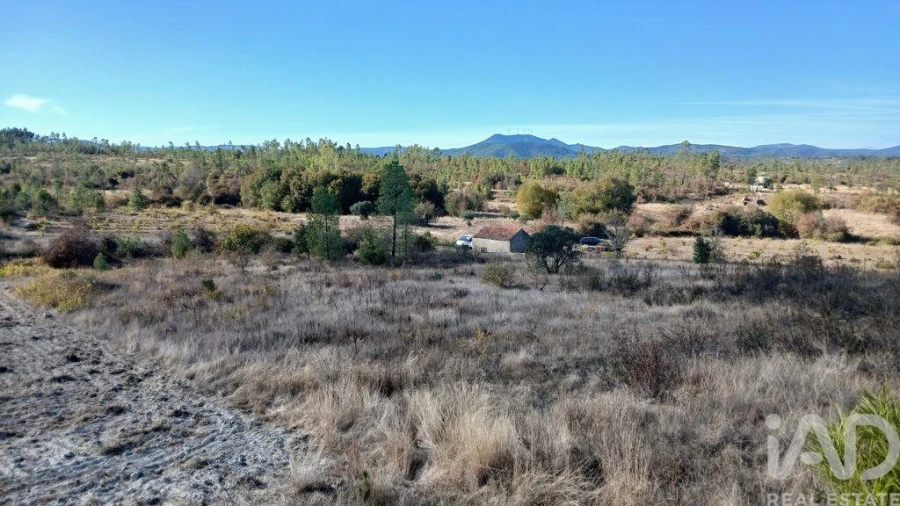 Terreno para Venda em Sarzedas Foto 12