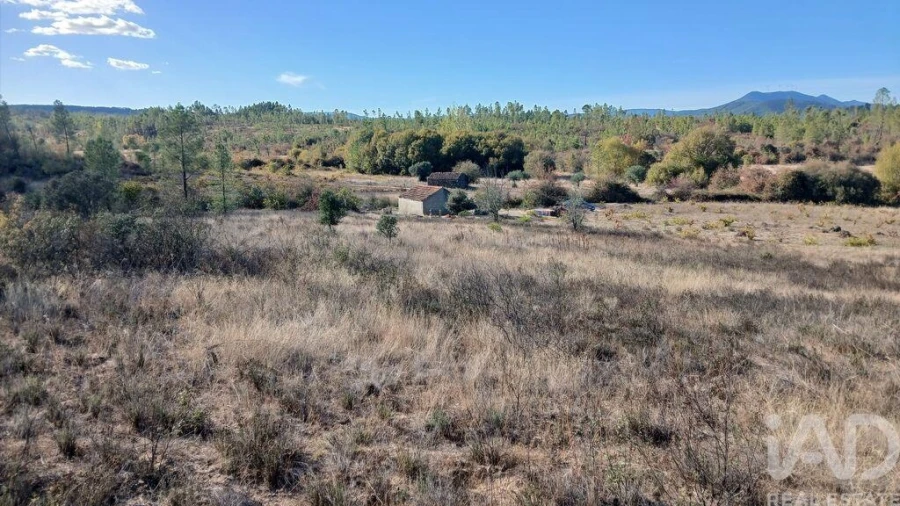 Terreno para Venda em Sarzedas Foto 2