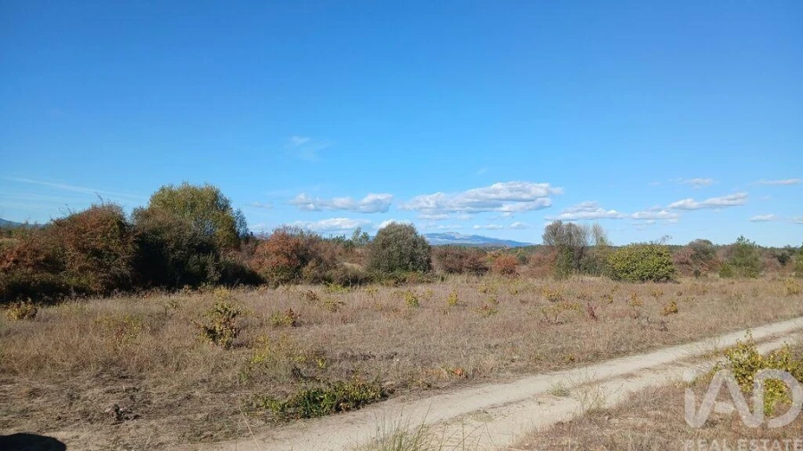 Terreno para Venda em Sarzedas Foto 15