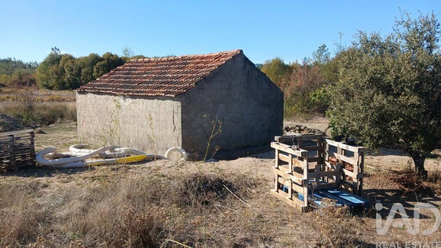 Terreno para Venda em Sarzedas Foto 21