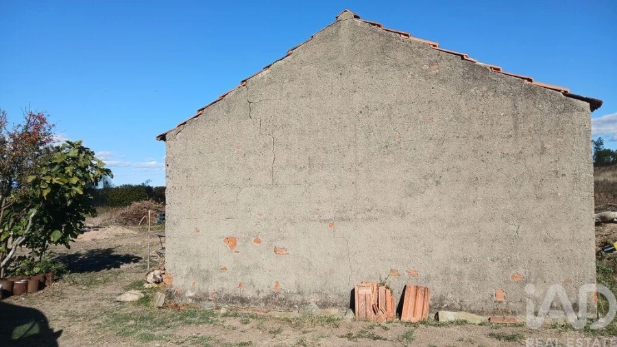 Terreno para Venda em Sarzedas Foto 19