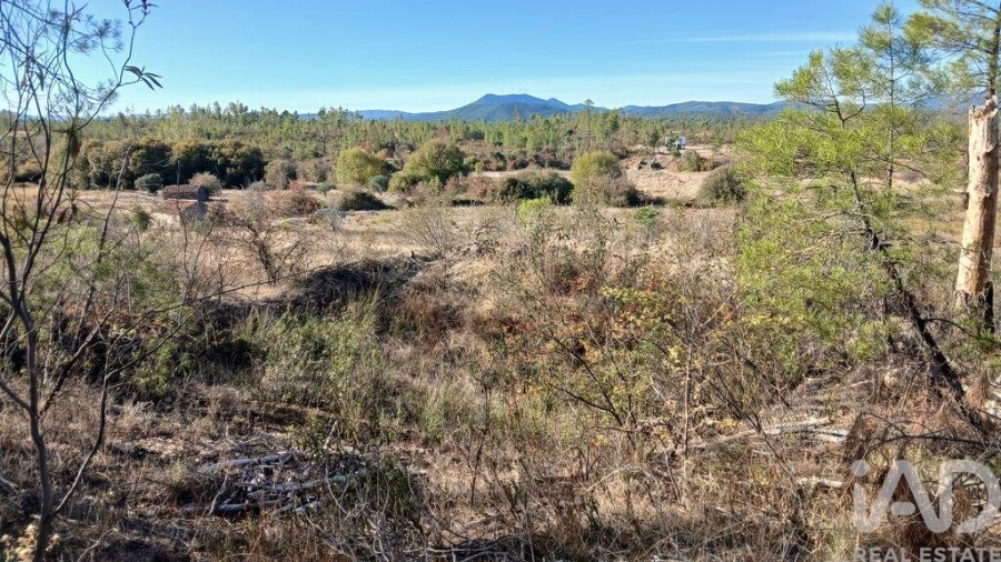 Terreno para Venda em Sarzedas Foto 6