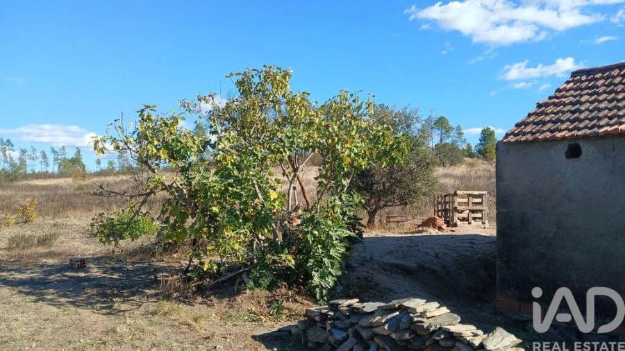 Terreno para Venda em Sarzedas Foto 29