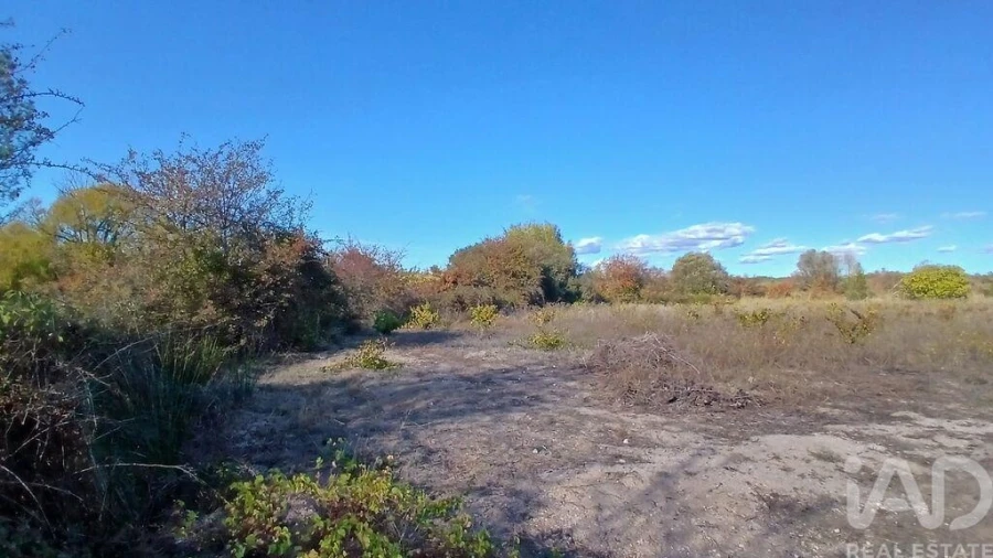 Terreno para Venda em Sarzedas Foto 22