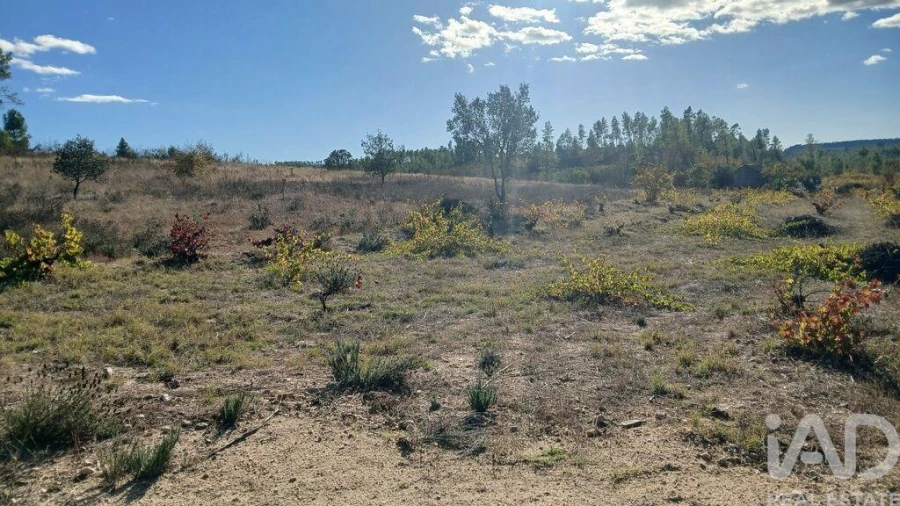 Terreno para Venda em Sarzedas Foto 7