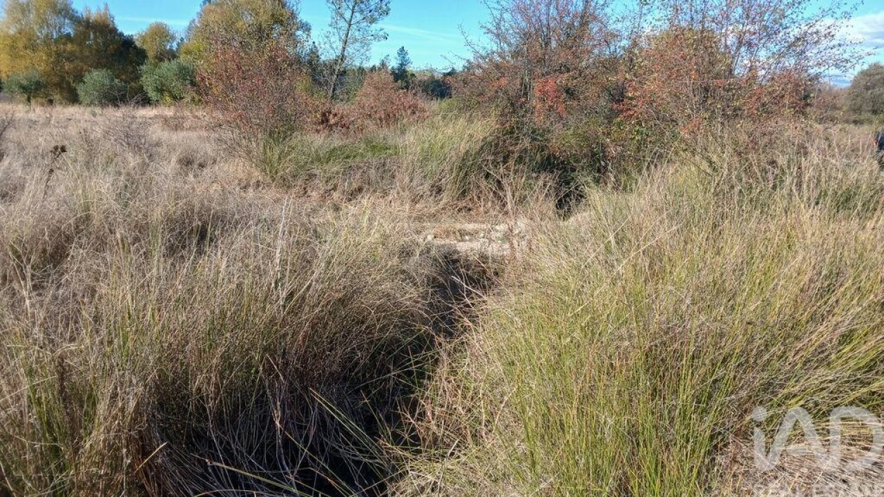 Terreno para Venda em Sarzedas Foto 20
