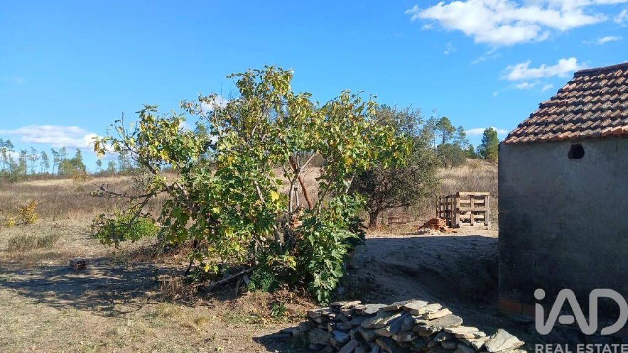 Terreno para Venda em Sarzedas Foto 29
