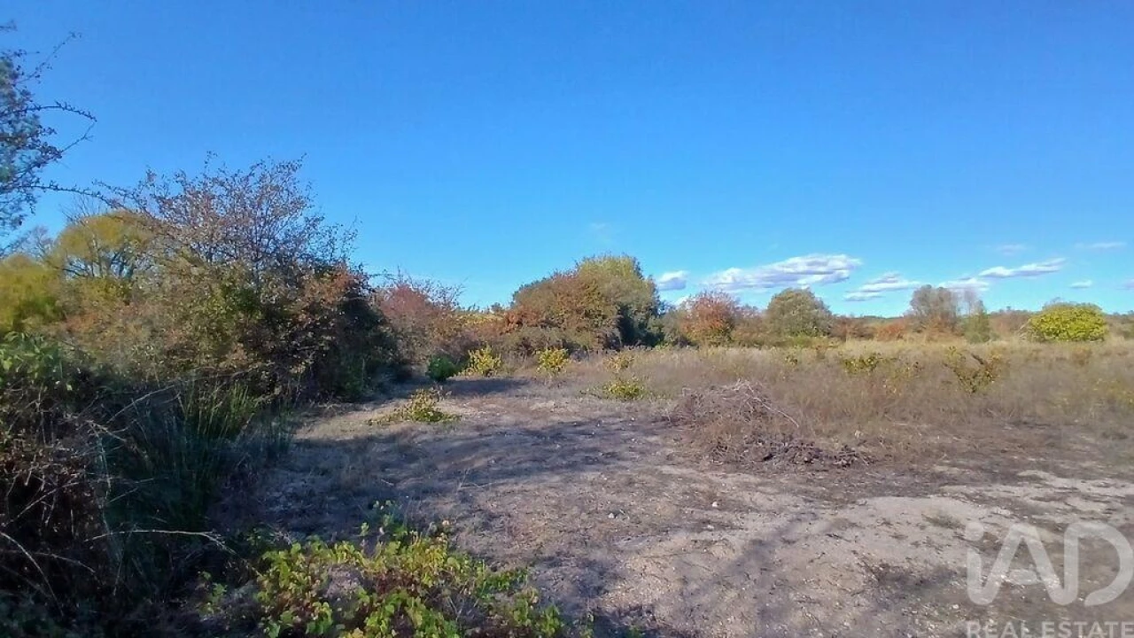 Terreno para Venda em Sarzedas Foto 22