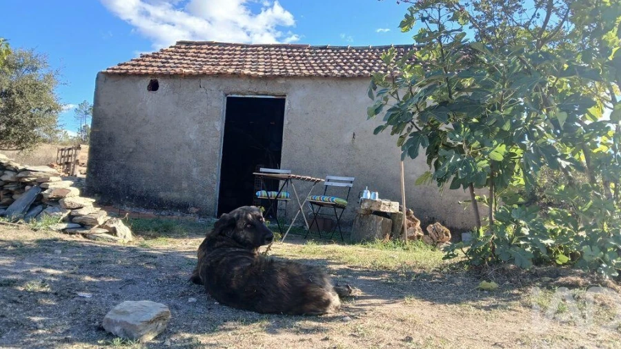 Terreno para Venda em Sarzedas