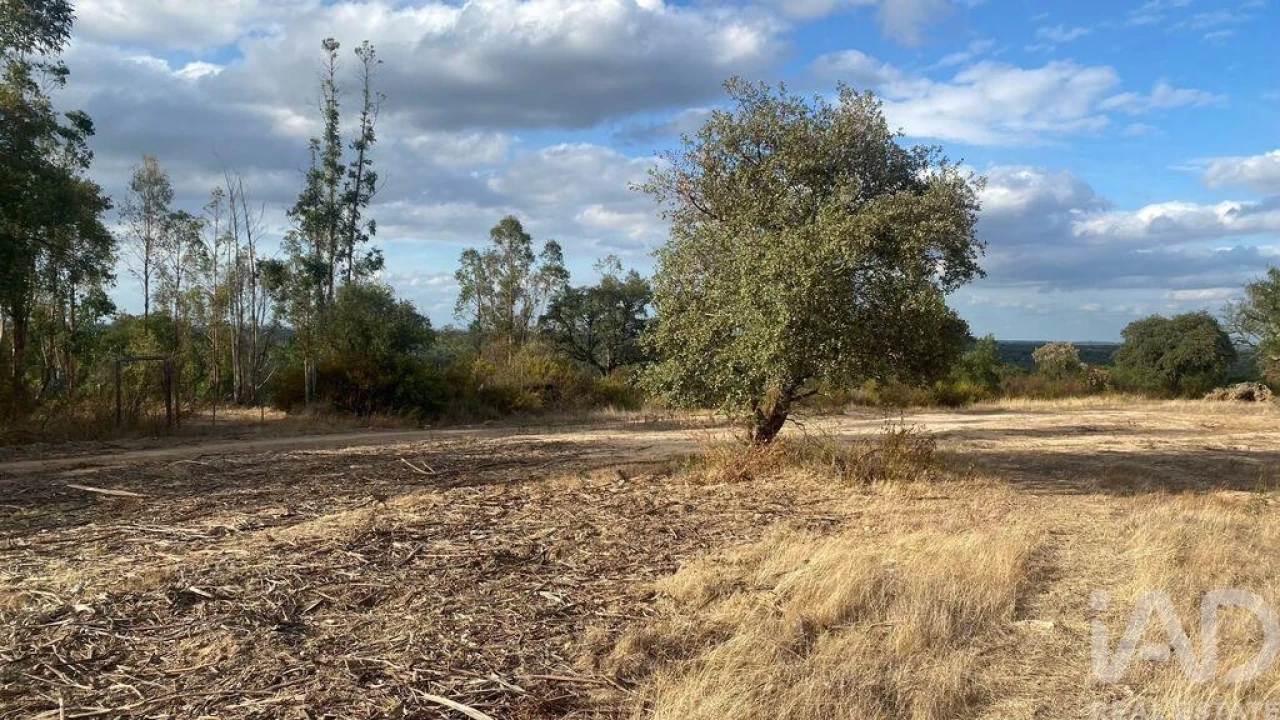 Terreno para Venda em Galveias Foto 7
