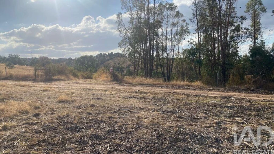 Terreno para Venda em Galveias Foto 6